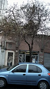 خدمات فنی صداقت