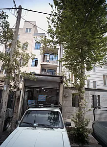 قالیشویی نائین گل ابریشم