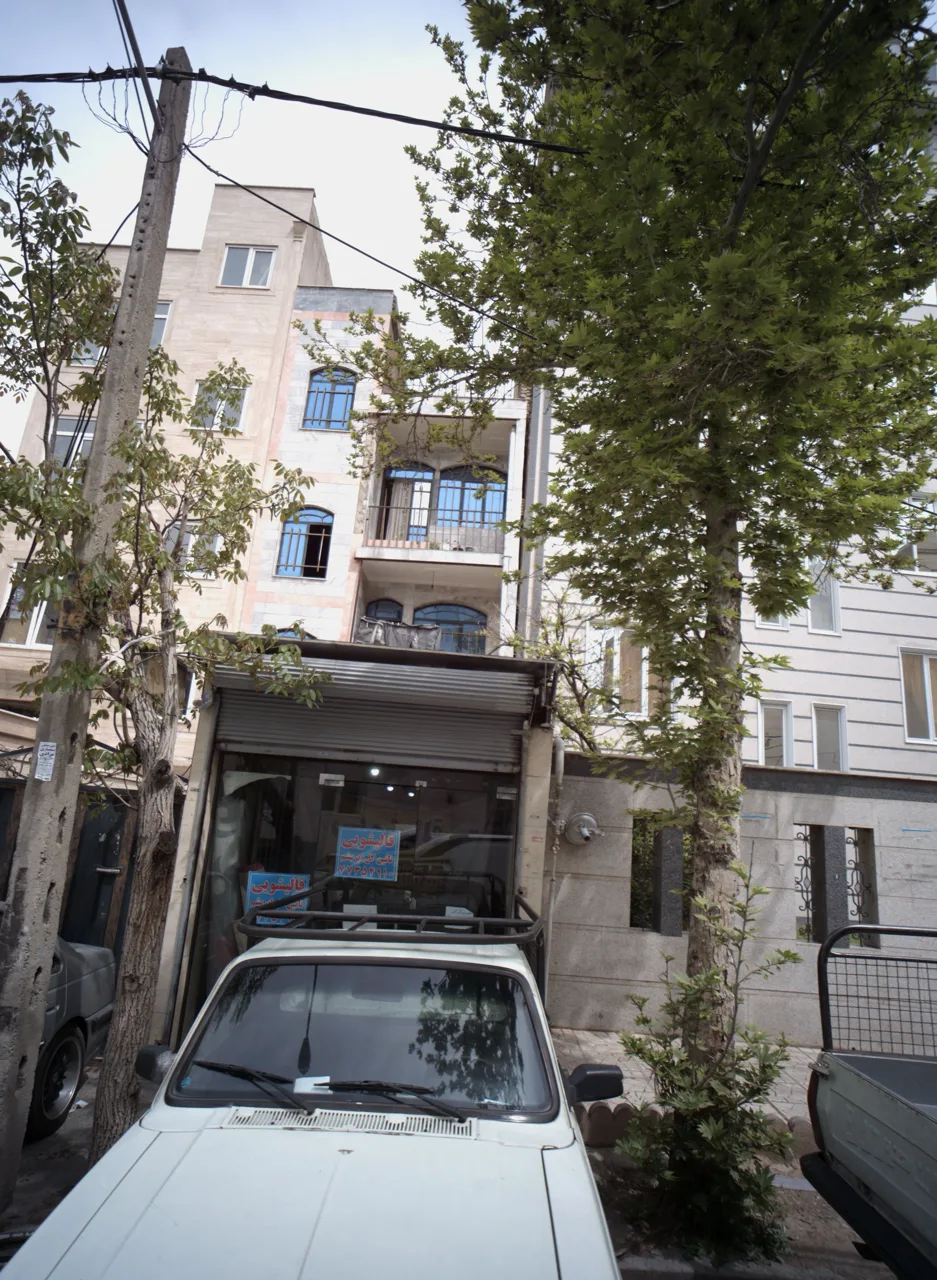 قالیشویی نائین گل ابریشم