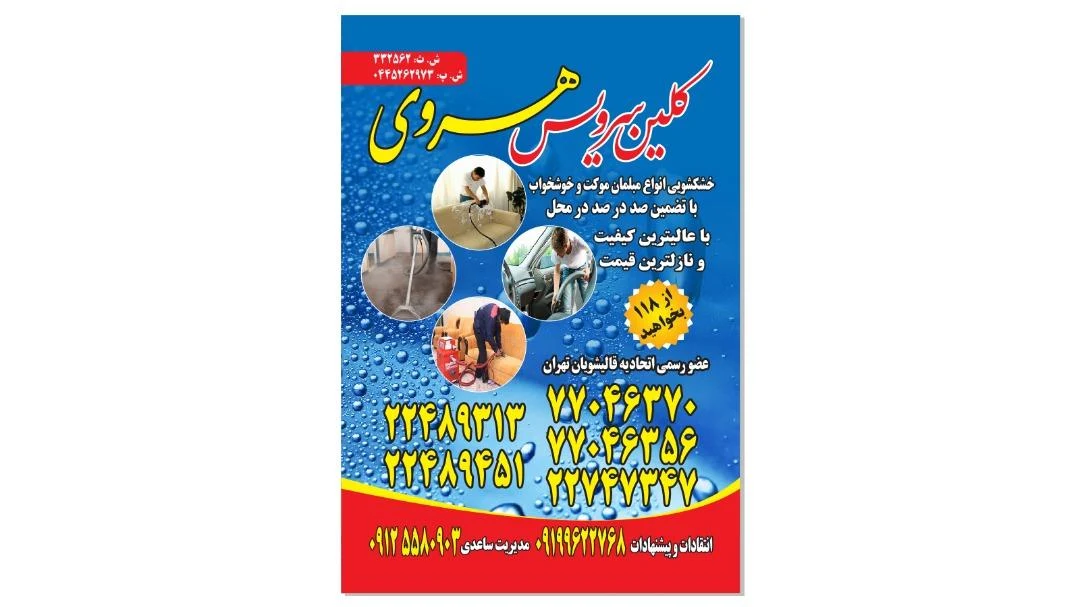 قالیشویی هروی در نیاوران - تصویر 2