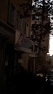 خدمات فنی نوین