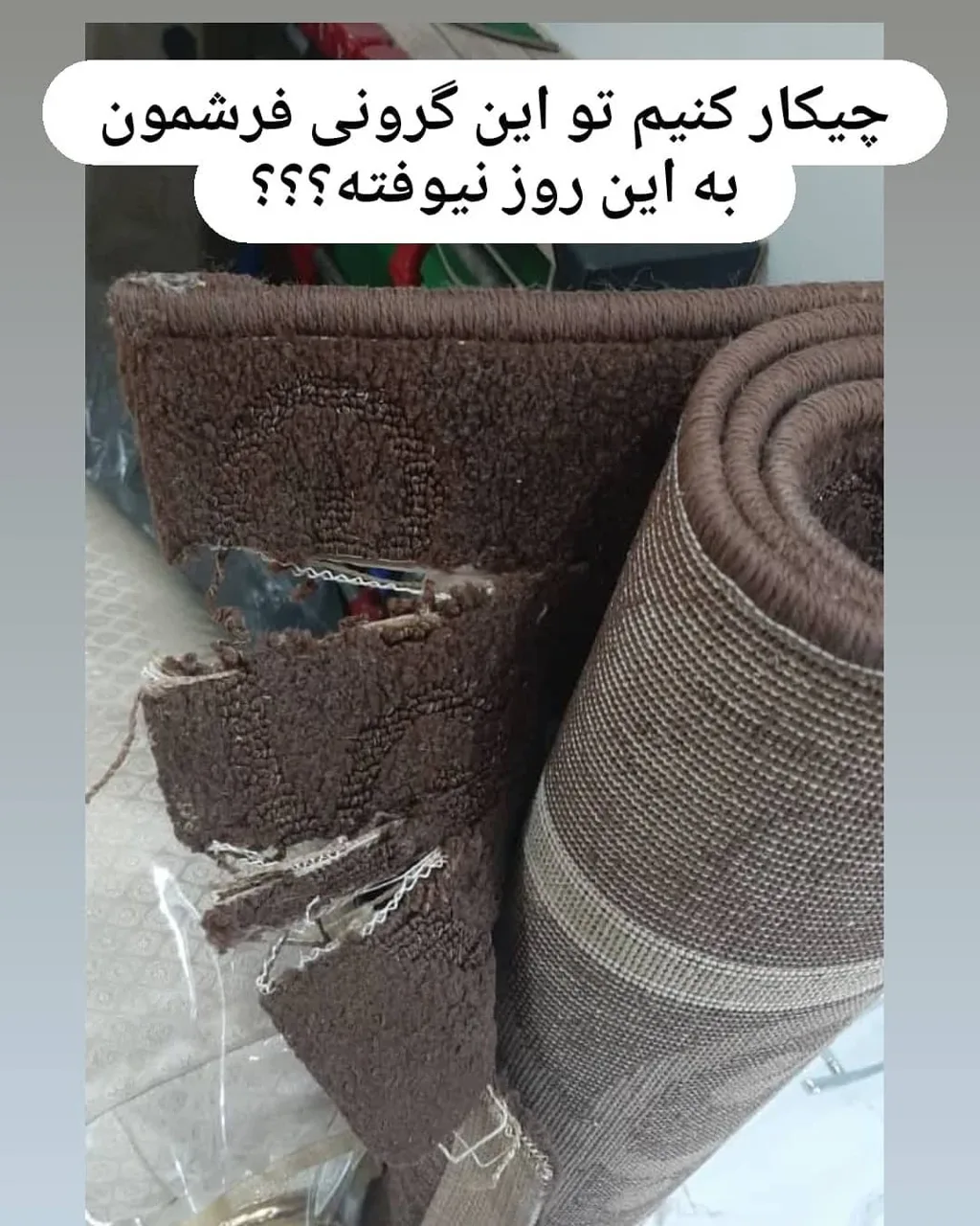 قالیشویی خوش - تصویر 6