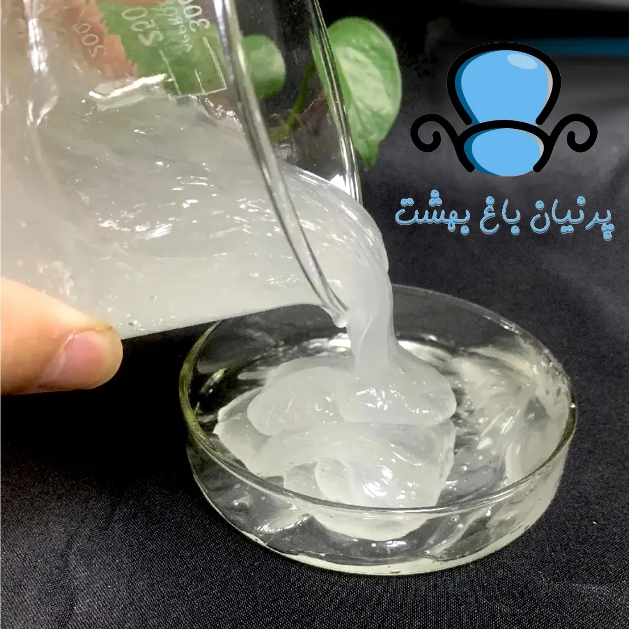 مبلشویی پرنیان - تصویر 4