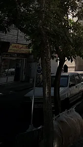 خدمات فنی پایتخت
