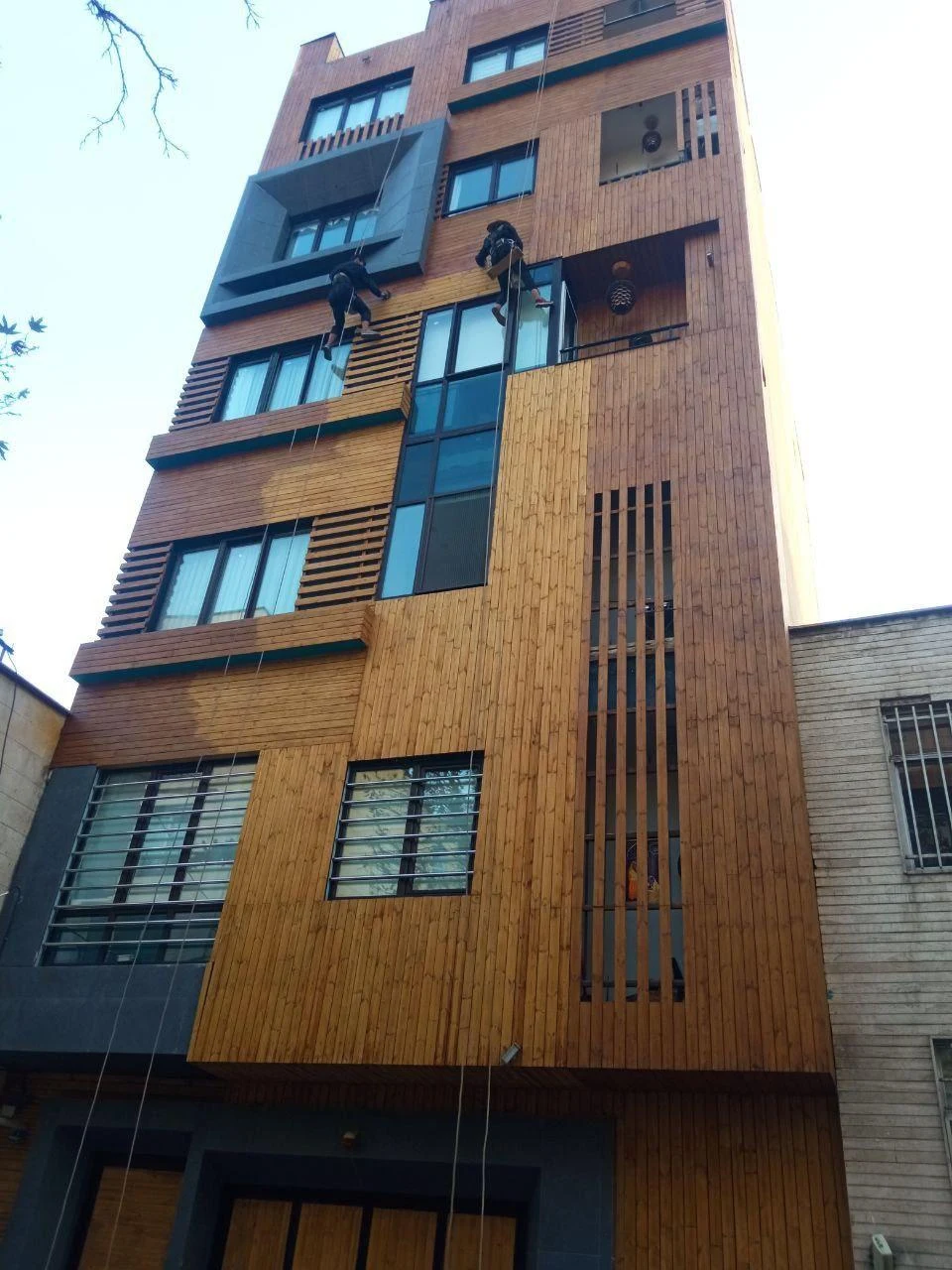 دکتر نما - تصویر 3
