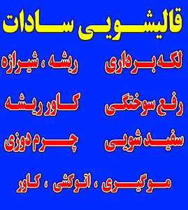 قالیشویی سادات شعبه ۶