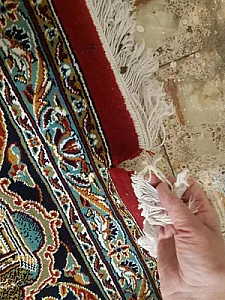 قالیشویی اندرزگو