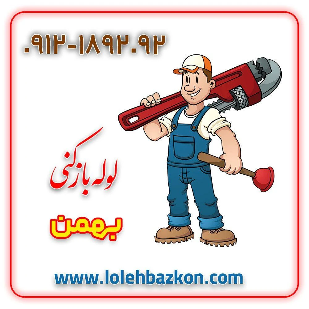 لوله بازکنی جمالزاده _بهمن - تصویر 2