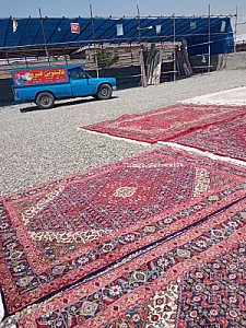 قالیشویی قنبری
