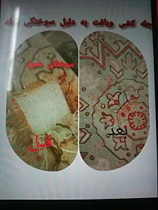 قالیشویی فرش ابریشم  دستی فوق تخصصی پاتریس