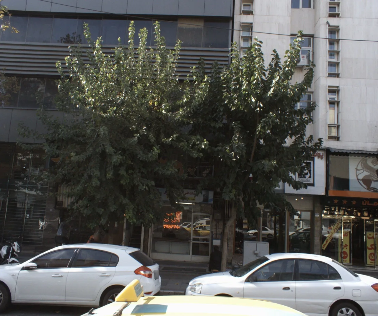 خدمات فنی آزران