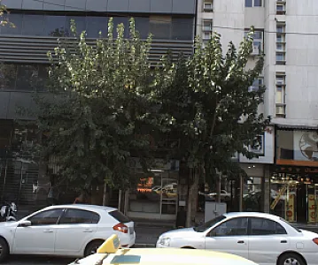 خدمات فنی آزران