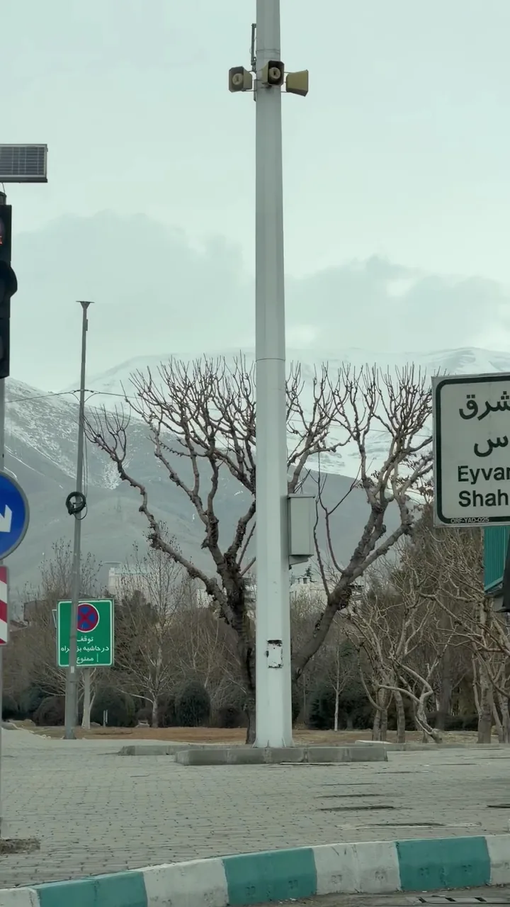 قالیشویی شاپرک - تصویر 2