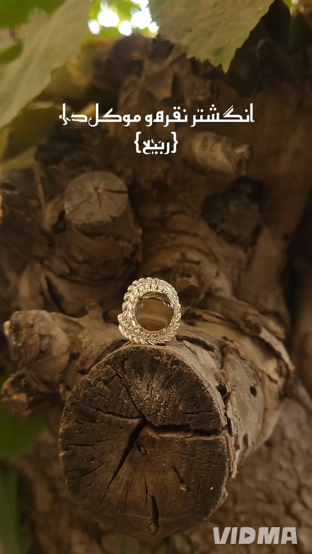 گالری مجیک رینگ - تصویر 2