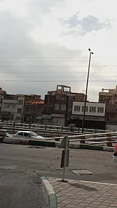 قالیشویی گرامی