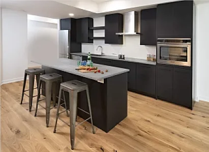کابینت شاهرخ