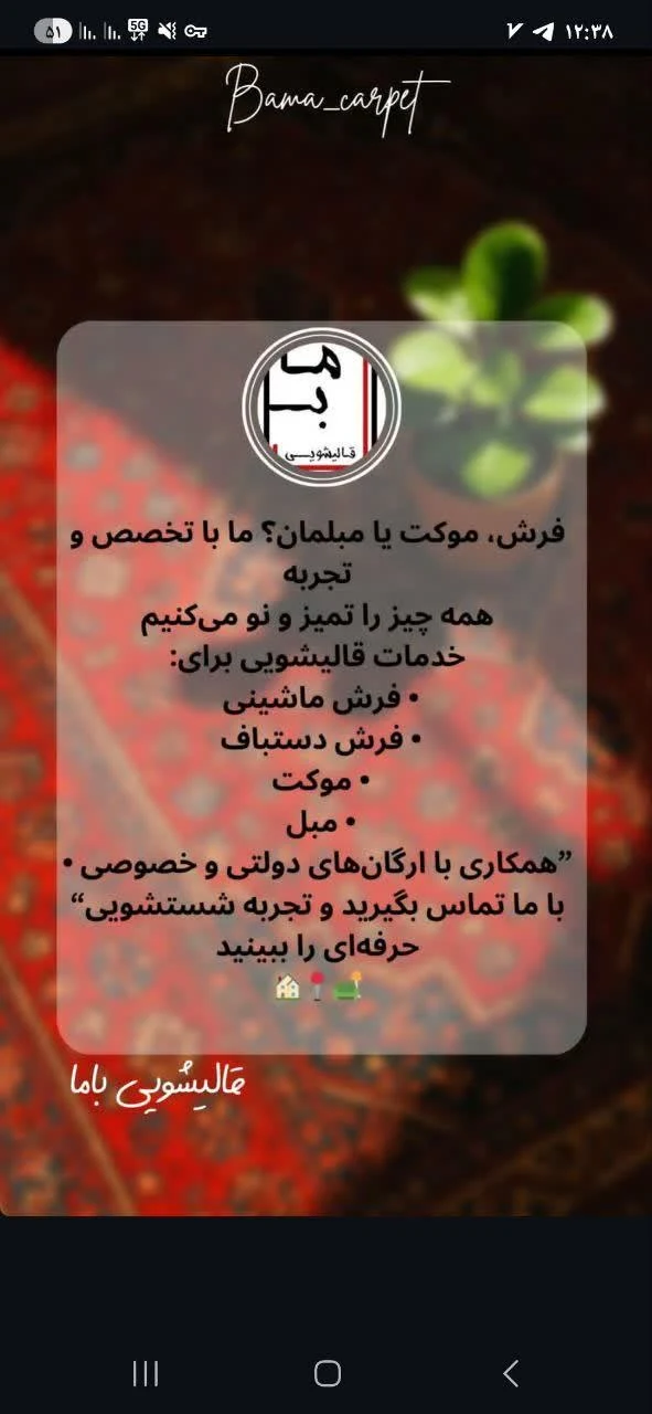 قالیشویی باما - تصویر 2