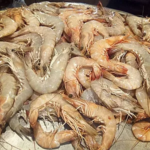 ماهی و میگو فیش تو