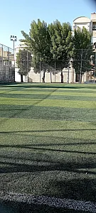 باشگاه یوگا سوریا