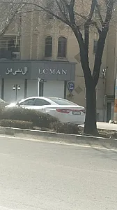 الکترونیک مرتضوی اکو چنگ دایناکورد