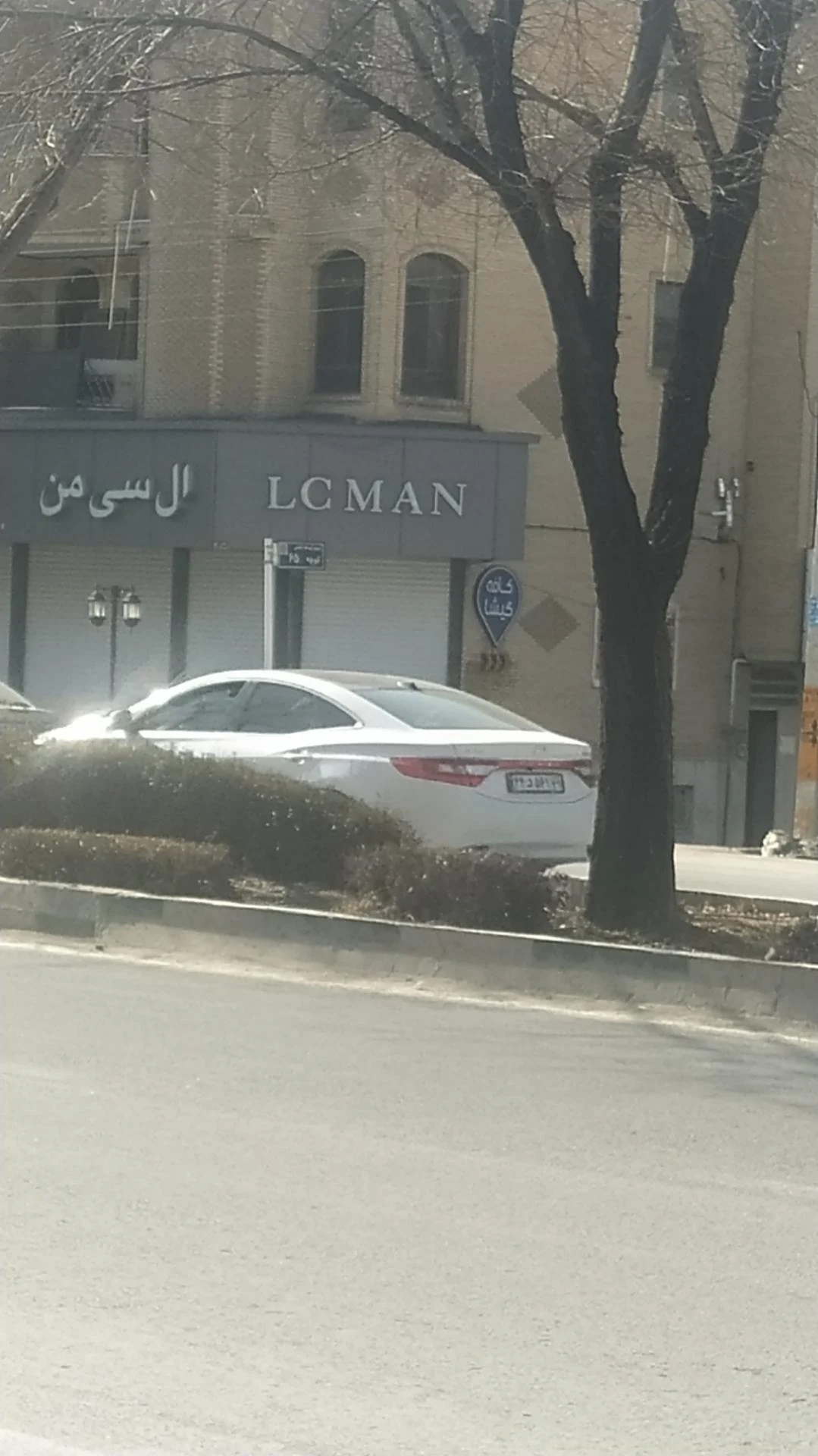 الکترونیک مرتضوی اکو چنگ دایناکورد