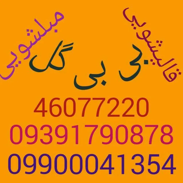 قالیشویی بی بی گل - تصویر 2