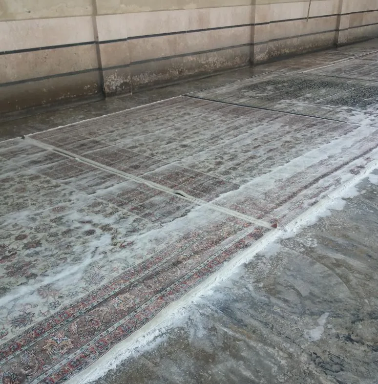 قالیشویی گلدیس - تصویر 2