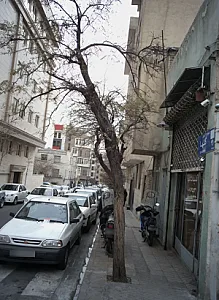 تاسیسات گلها