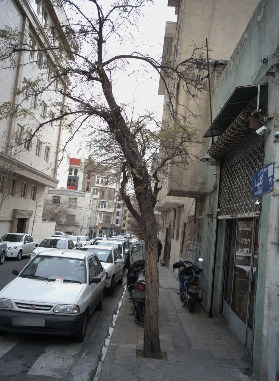 تاسیسات گلها
