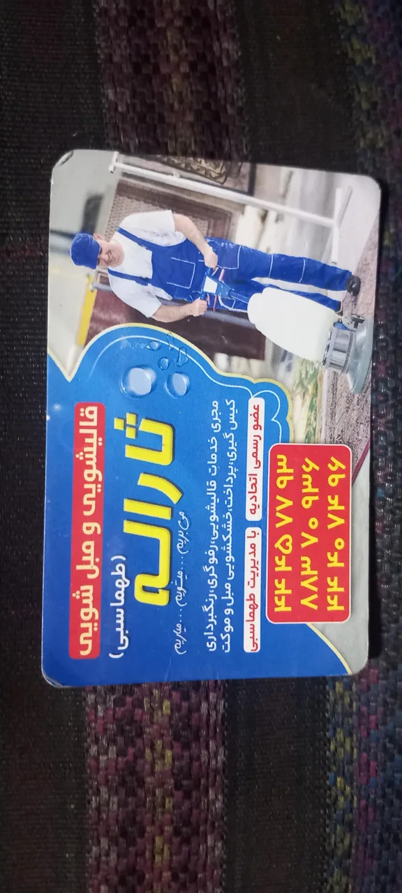 قالیشویی ثاراله طهماسبی - تصویر 3
