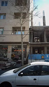 قالیشوئی جمالی