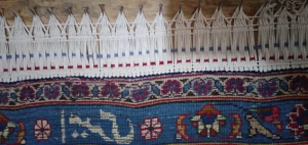 قالیشویی پاک وش