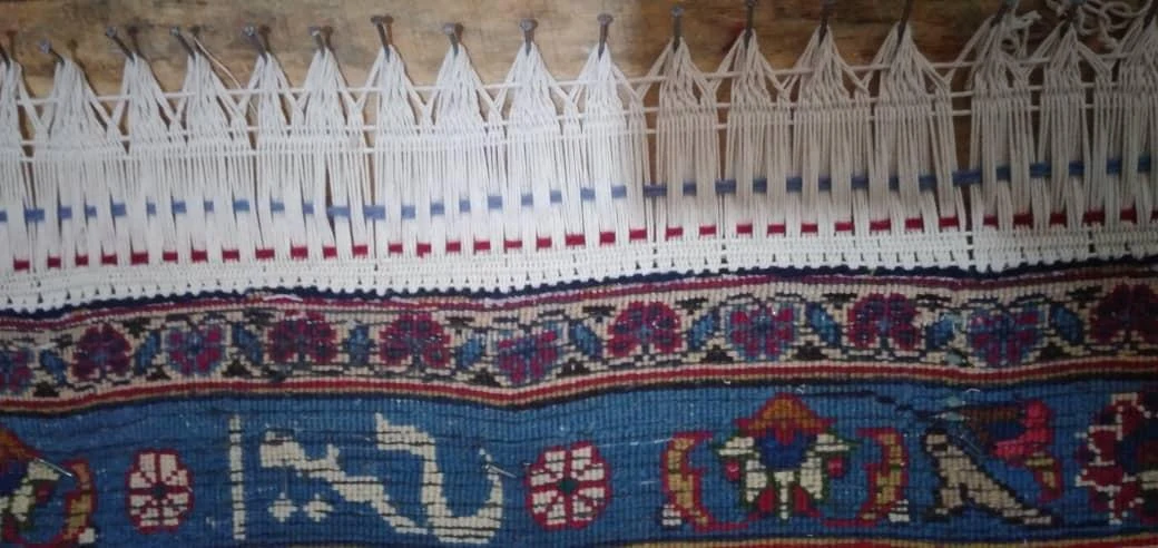 قالیشویی پاک وش