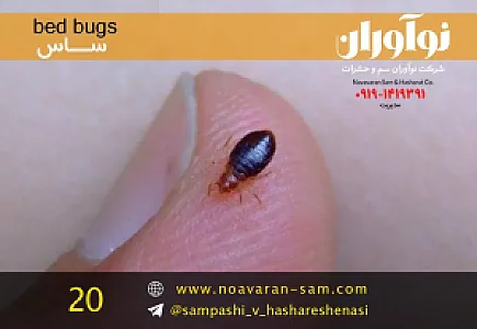 شرکت سمپاشی نوآوران سم