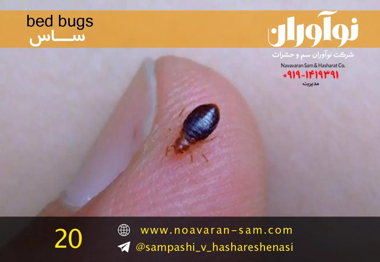 شرکت سمپاشی نوآوران سم