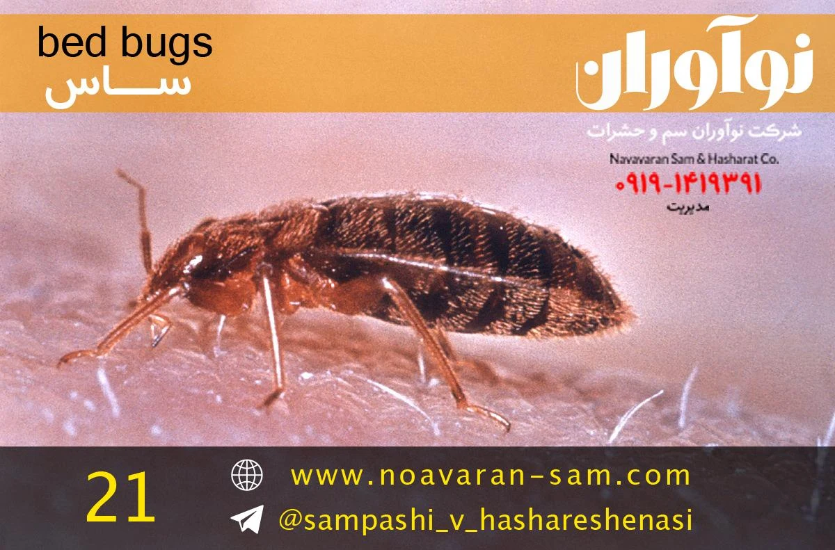 شرکت سمپاشی نوآوران سم - تصویر 3
