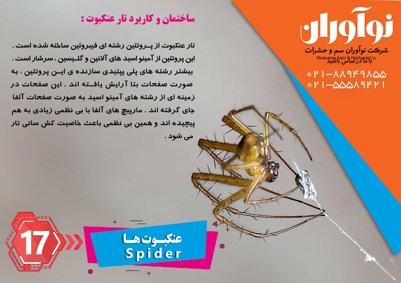 شرکت سمپاشی نوآوران سم - تصویر 4