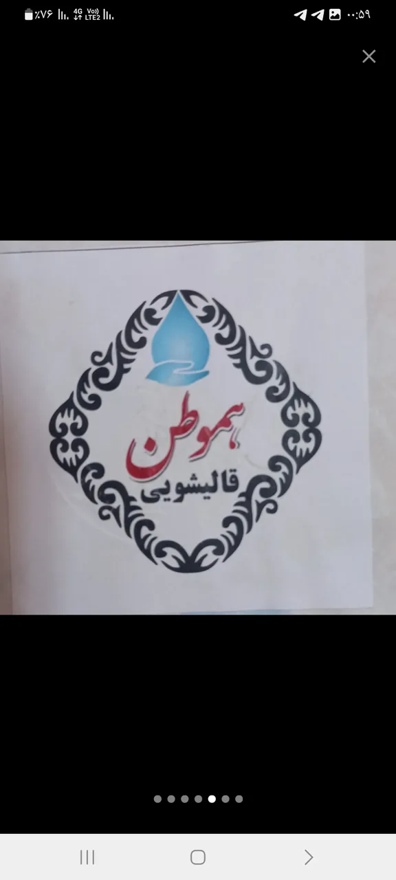 قالیشویی هموطن - تصویر 2