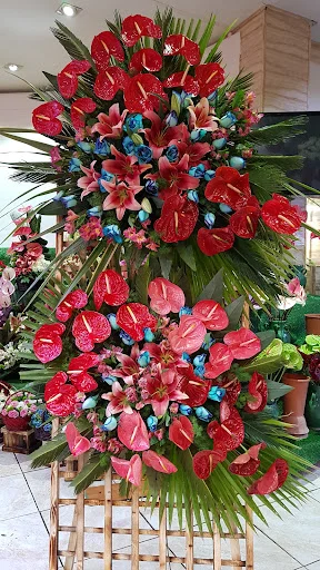 قنادی فرهمند