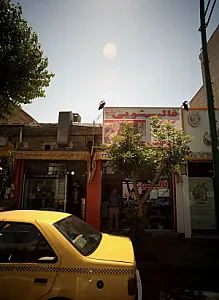 قالیشویی تهران نو