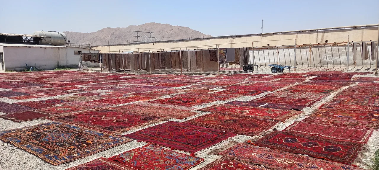 قالیشویی استقلال - تصویر 4