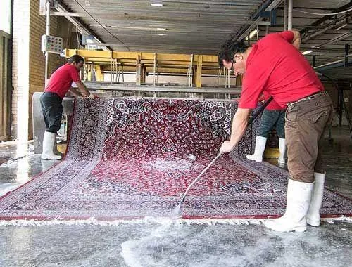 کارخانه قالیشویی آرکا - تصویر 2