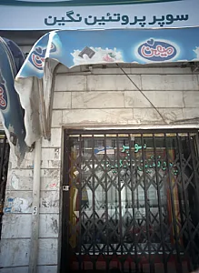 سوپر پروتئین نگین