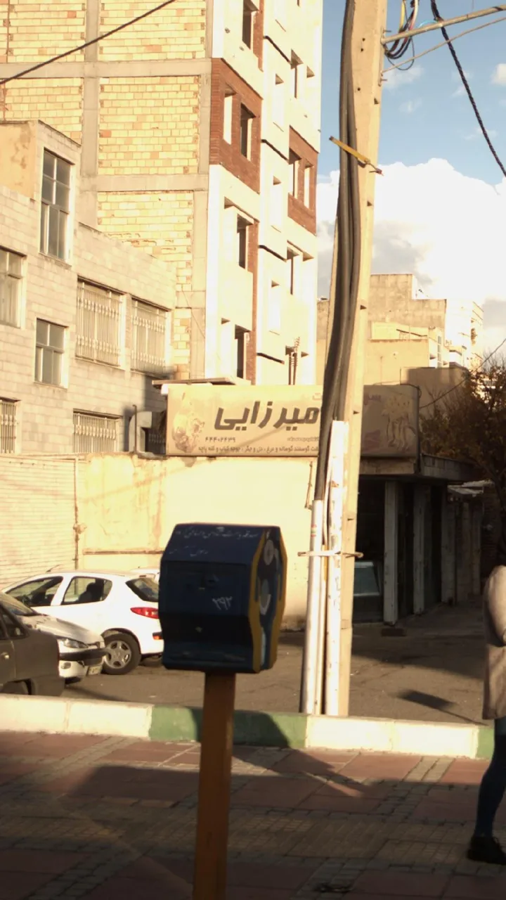 سوپر گوشت میرزایی - تصویر 2