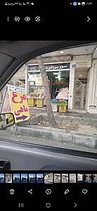 سوپر پروتیین یاشار