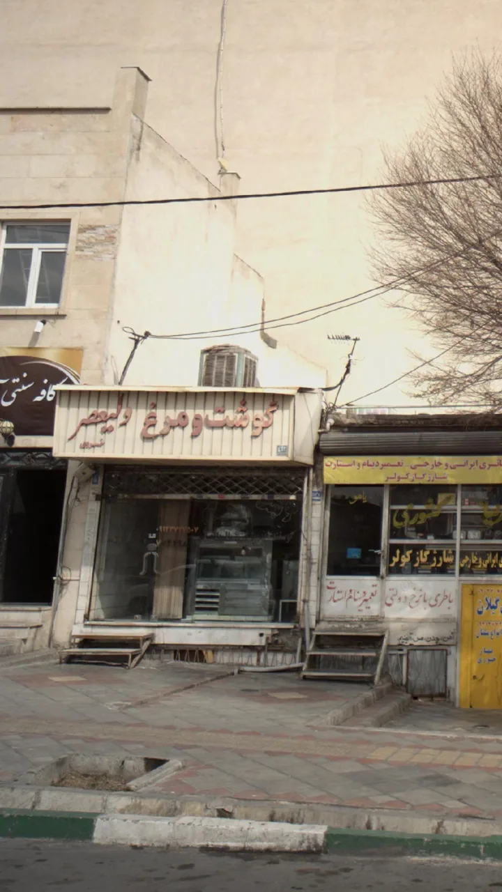 گوشت و مرغ ولیعصر - تصویر 2