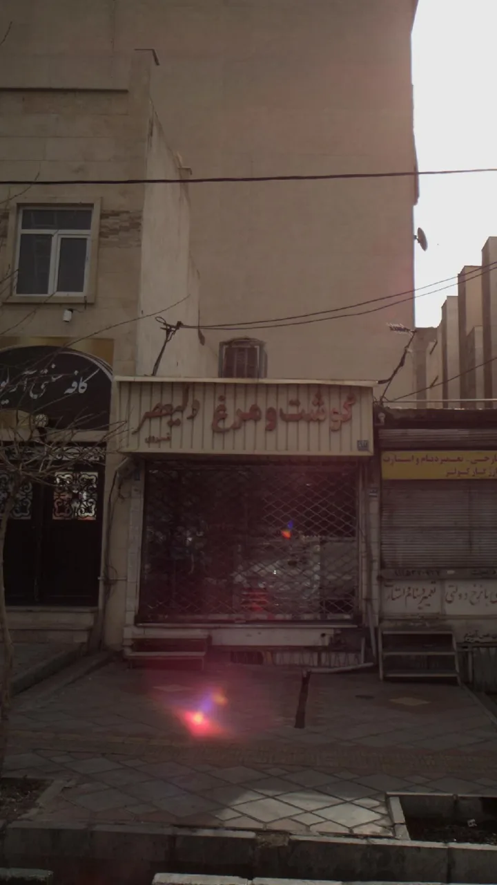 گوشت و مرغ ولیعصر - تصویر 3