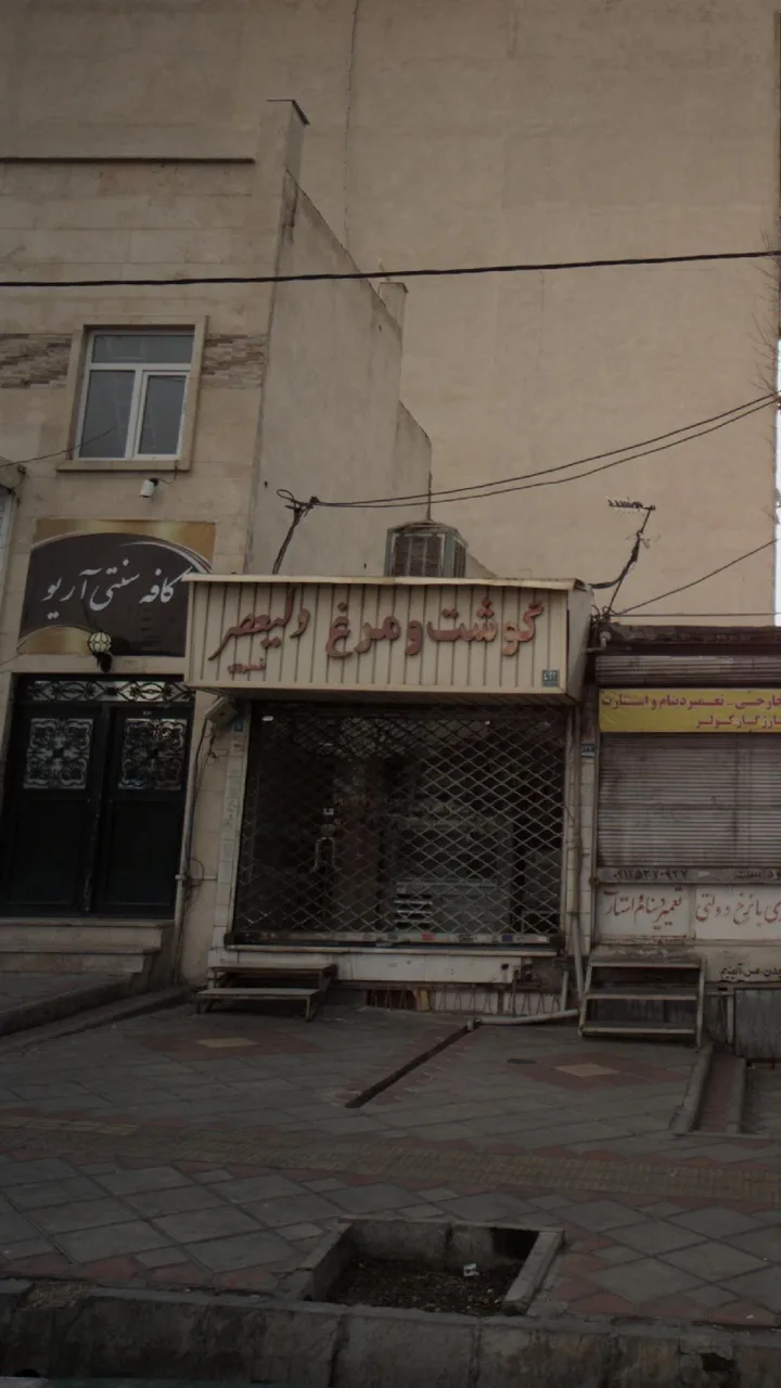 گوشت و مرغ ولیعصر - تصویر 4