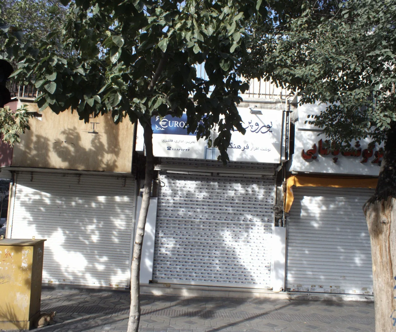 سوپر گوشت پاشایی