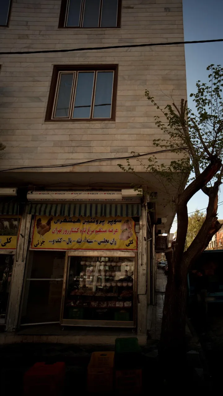 سوپر پروتئین همشهری - تصویر 3